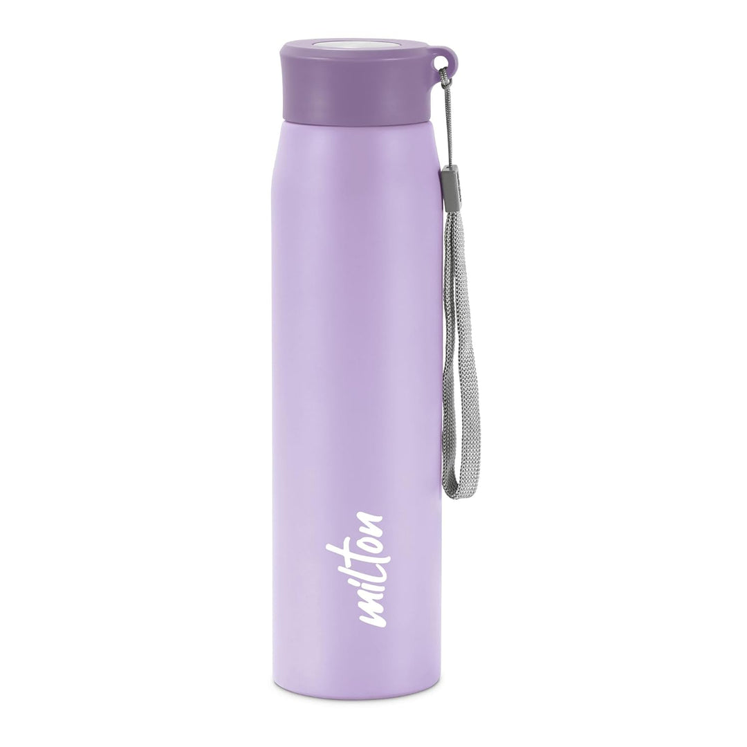 Handy Stainless Steel Bottle (Milton)