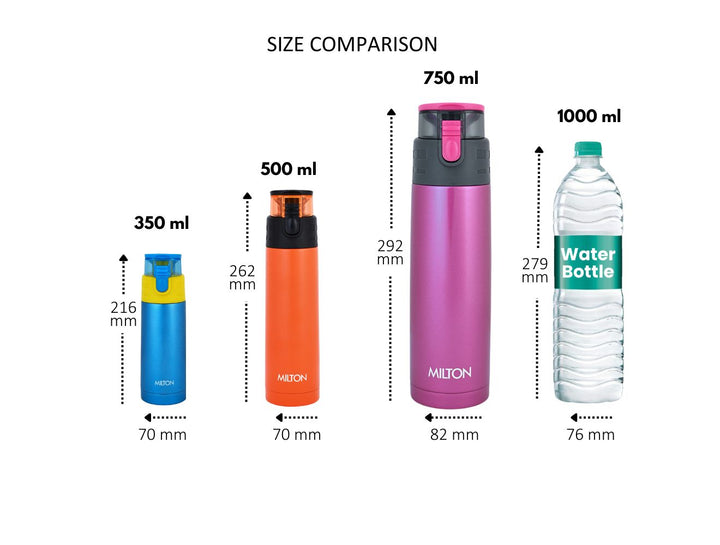 Atlantis Thermosteel Water Bottle (Milton)