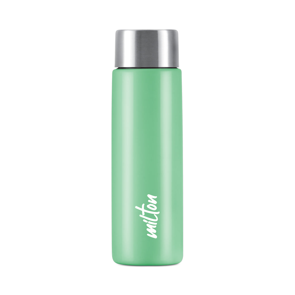 Bitsy Stainless Steel Bottle (Milton)