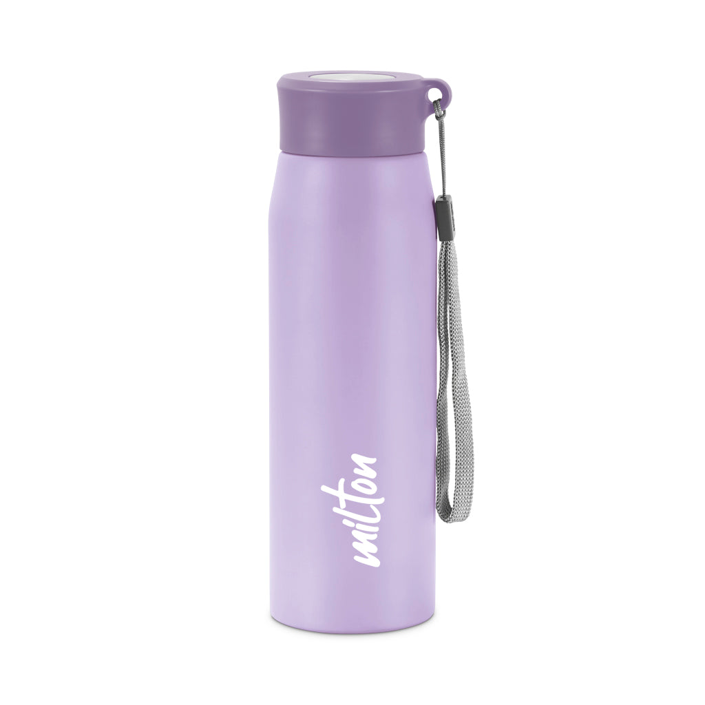 Handy Stainless Steel Bottle (Milton)