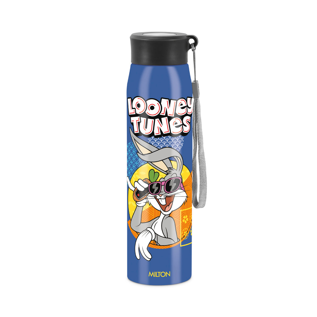 Handy 3D Design Looney Tunes Stainless Steel Bottle (Milton)