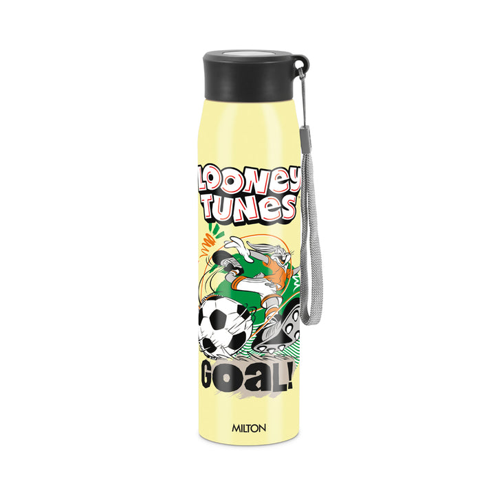 Handy 3D Design Looney Tunes Stainless Steel Bottle (Milton)