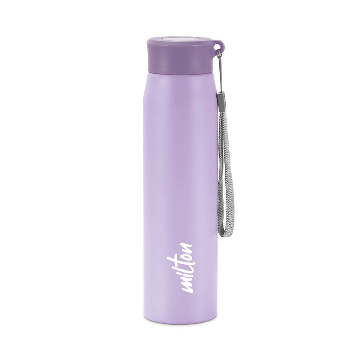 Handy Stainless Steel Bottle (Milton)