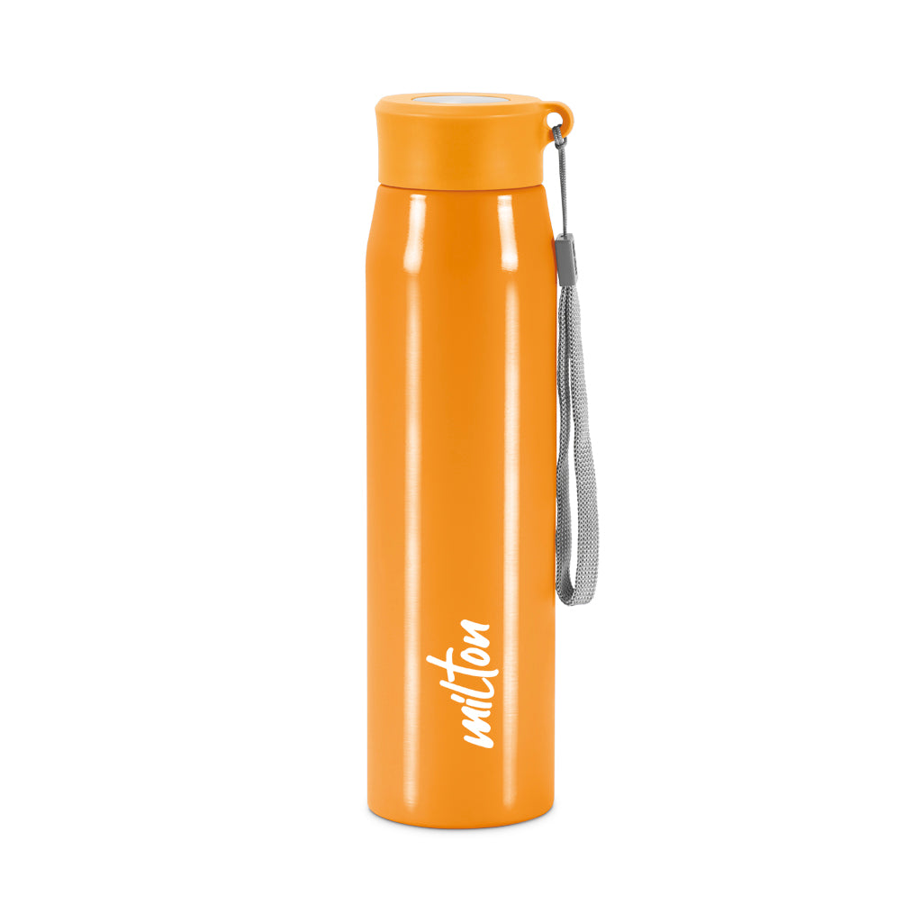 Handy Stainless Steel Bottle (Milton)