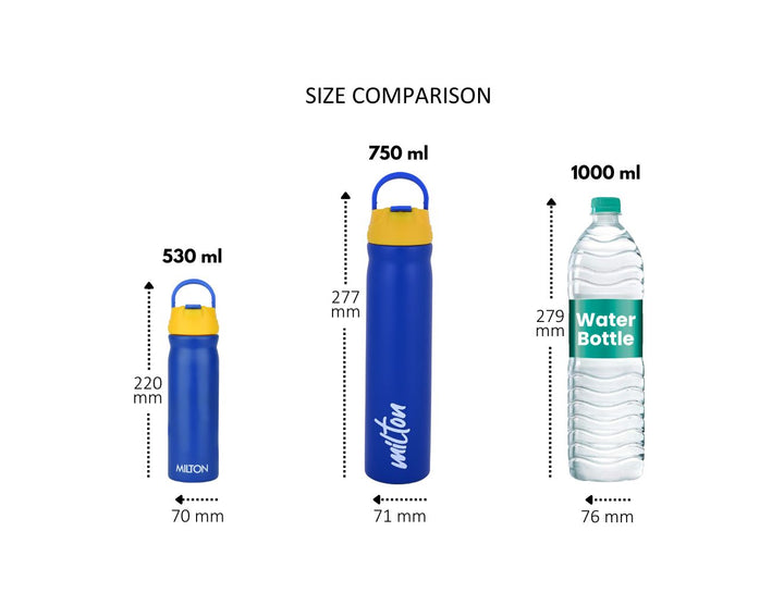 Max Stainless Steel Bottle (Milton)