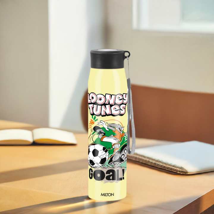 Handy 3D Design Looney Tunes Stainless Steel Bottle (Milton)