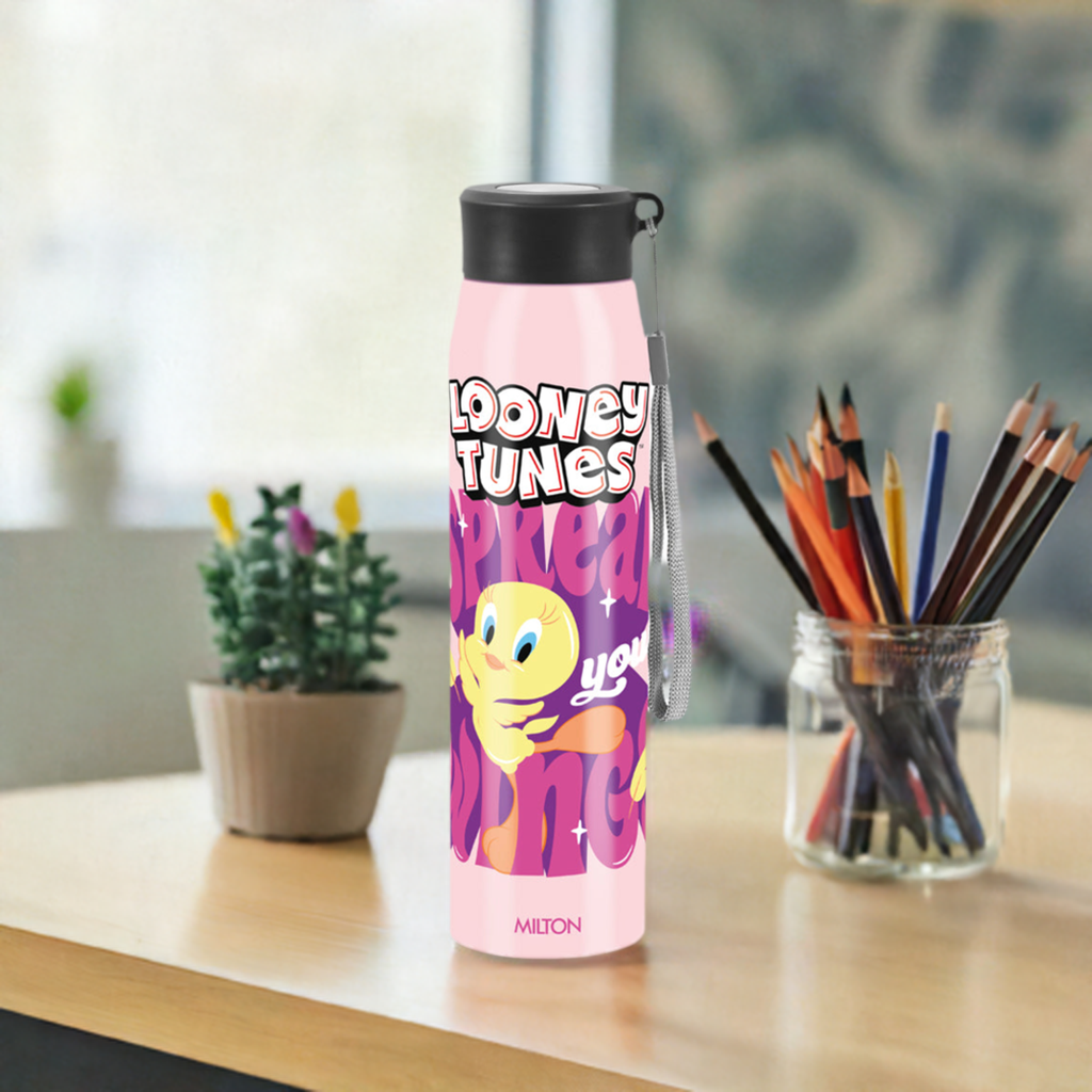 Handy 3D Design Looney Tunes Stainless Steel Bottle (Milton)